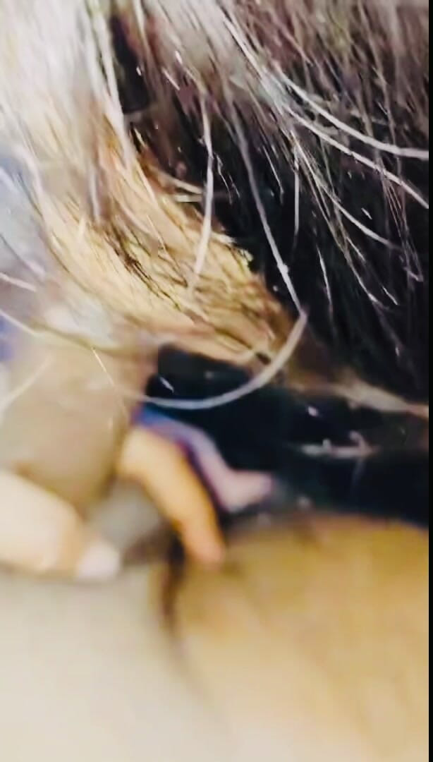 roxirimmer: nastolatka dziewczyna wysysających kutas z lodami