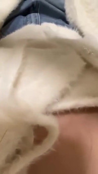 Asian Angel 25815