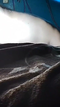 Puchis - MILF seksi Jugoso Ruidoso memancut mani