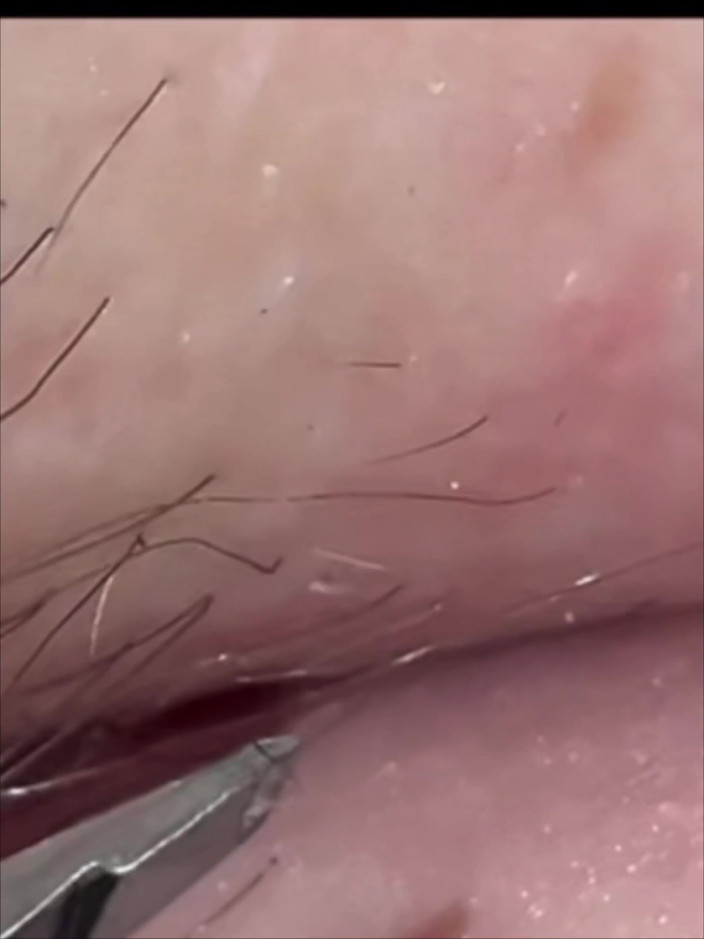 SatisfyingDillyDally: Petunjuk kepada Kelancaran Terperinci