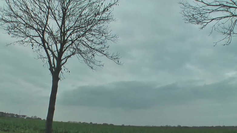 German Porn: Alemán - chica tetona grande al aire libre