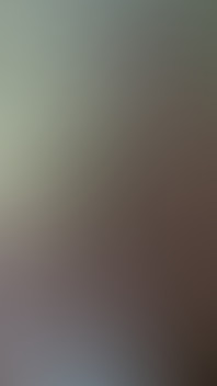 Seka Meets Shaundam