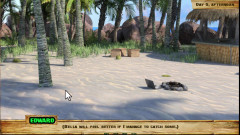 Johannes Gaming: Lewd Island n ° 5 - elle adore sucer des bites comme si...