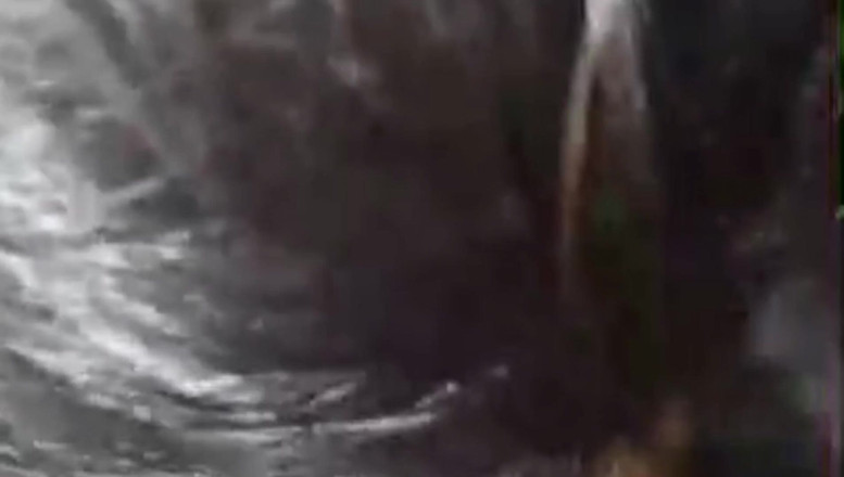 desi hot girl: Bengali desi meninas sexo vídeo