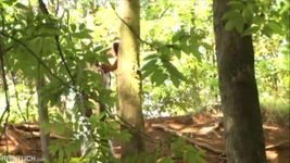 Punheta sorrateira para Tesão Gêmeo