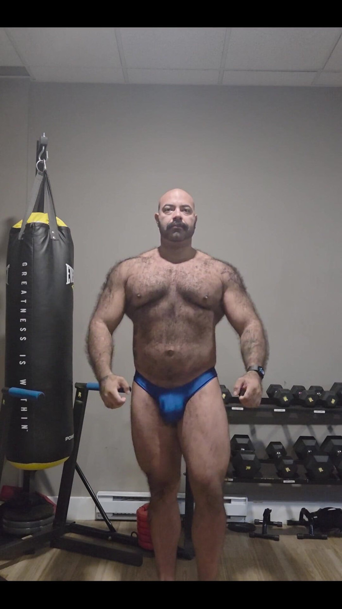 Lobo: Muscular