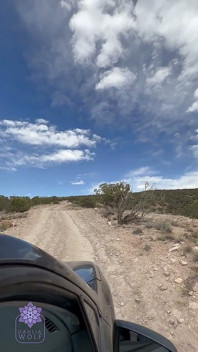 Public Sex with Stranger After Hike