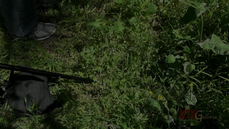 ATKIngdom Fans: Abbie Anderson takes pictures and pees in front of a...