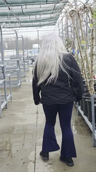 Plant Shopping