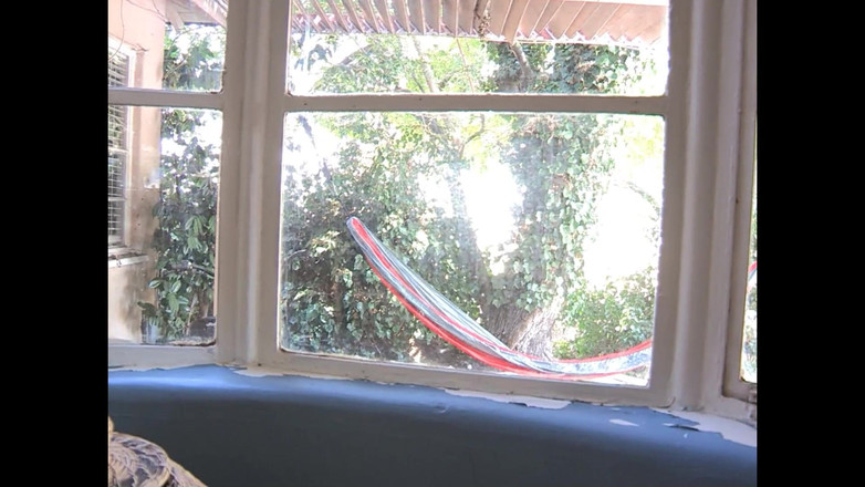 LESBIANS Accademy: Tlusté lesbičky třou naolejovaná těla a brousí kundičky