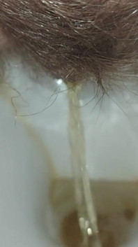 Pissing Housewife