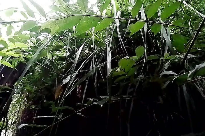 Gangbang straight: Fuites de randi