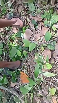 Bini Dikongkek Oleh Seseorang Yang Datang Membersihkan Taman Semasa Suami Di Tempat Kerja