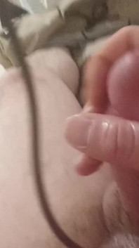 My Dick
