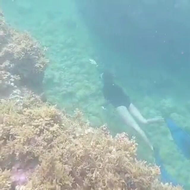 creamberryfairy: イマ・マーメイド