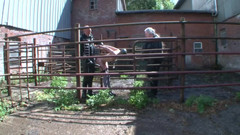 BDSM Deutschland: Out on the Farm with Breeding and Order, Whoever Does...