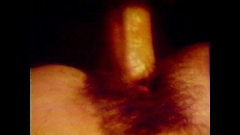 Vintage megastore: Ngựa con hoang dã