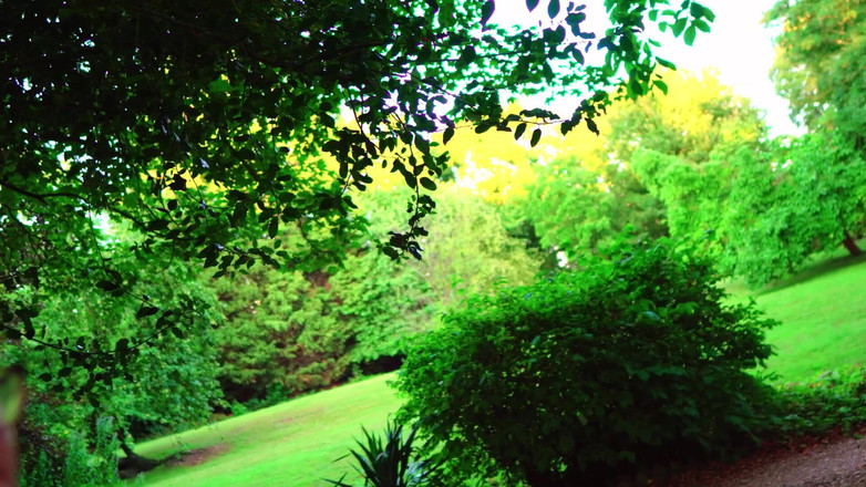 JessieHH: Férias com madrasta grátis