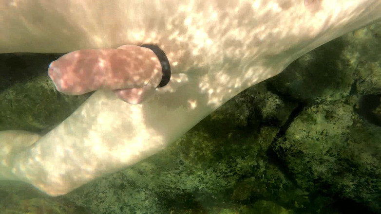 outdoor-fun: River Current si hraje s mým ptákem měkké a tvrdé