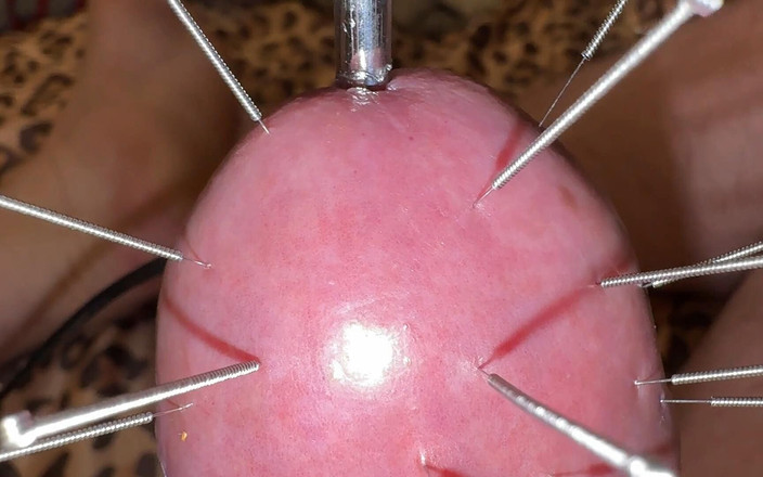 Qualzucht: C’était très spécial