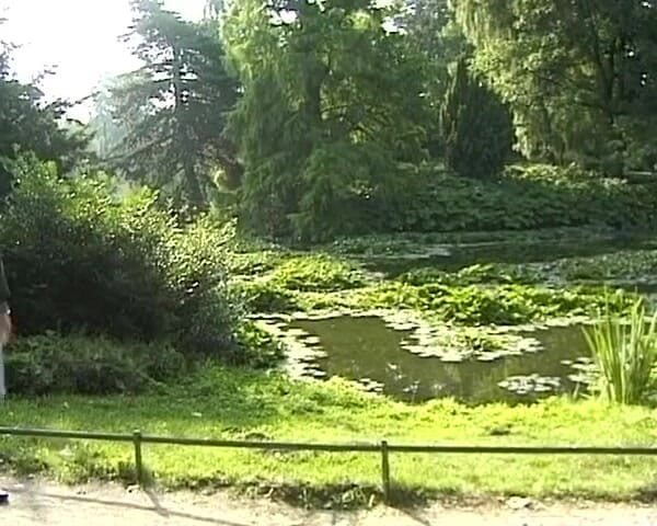 Busty German Sluts: This Naughty German Teen Enjoy Anal Penetration in Park