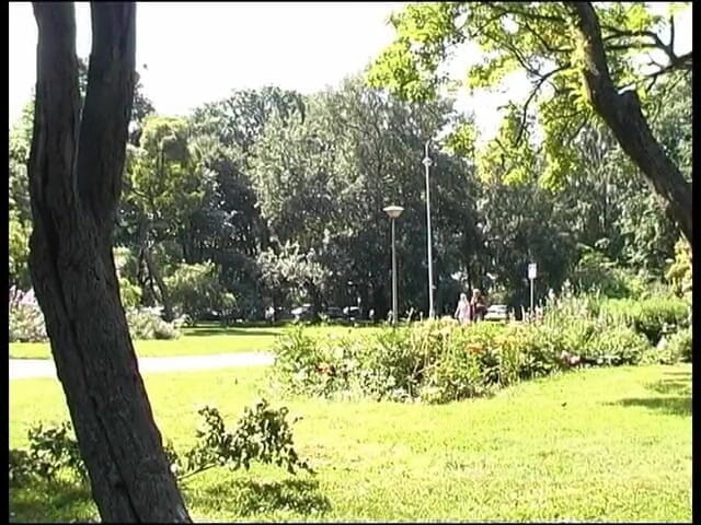 Radical: Śliczna nordycka blondynka amator sexxx
