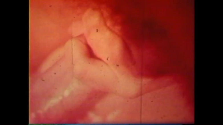 The Unforgettable: 猪激发器