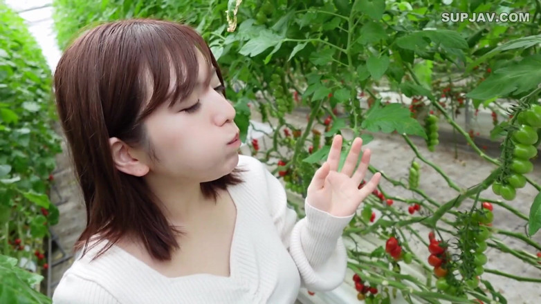 Studio Modern Shunga - JAV: Asian angel 7402