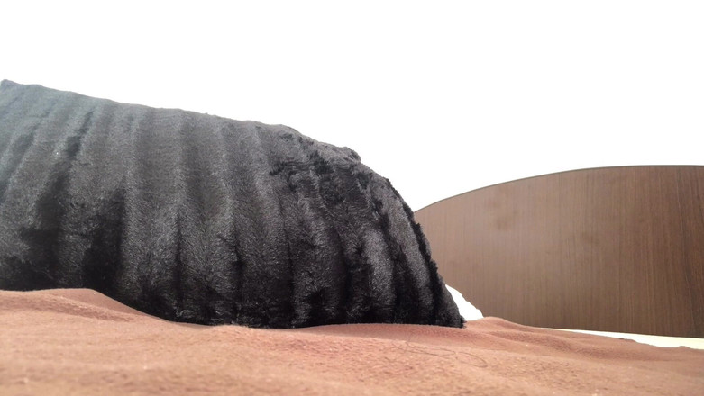 Ashamodel: Трах пальцами намазаной маслом задницы