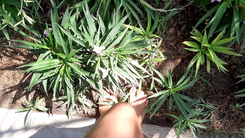 Fetish intimmedia: Une MILF aux pieds forts sexy à l'extérieur