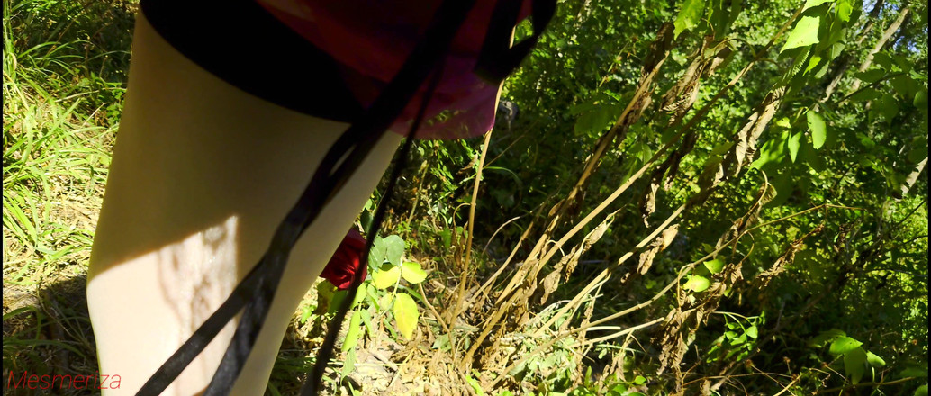 Mesmeriza: Mesmeriza derlemesi 13 Dream Island