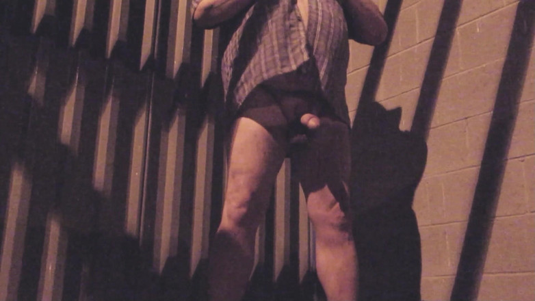 The porky pervert: Arriscado jackoff noturno