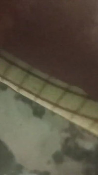 Alat Kejutan 7 inci. Menghukum Mereka