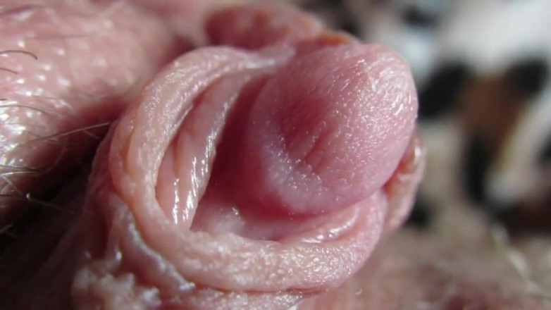 Cuteblonde666: Kompilasi klitoris besar 2