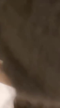 Asian Angel 28055