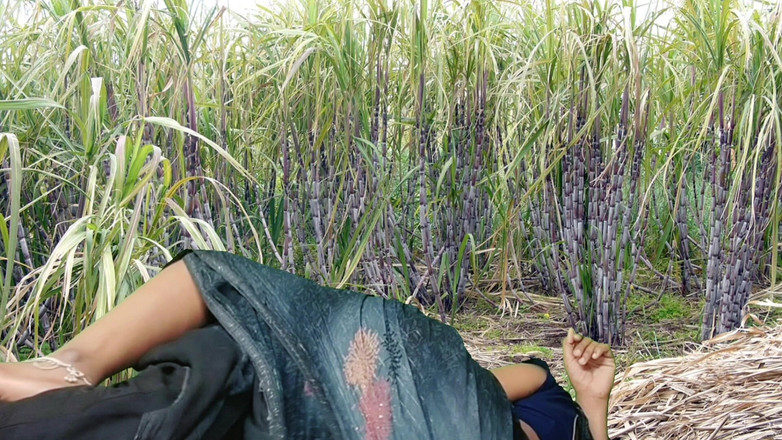 Rakul008: Трах у полі цукрової тростини