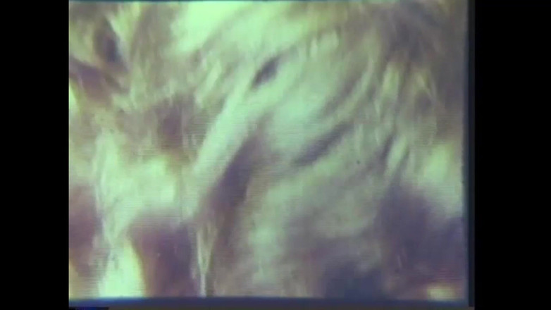 Vintage megastore: De Flirterige Masturbator