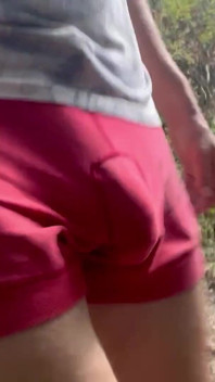 Bulge Walk in a Forest