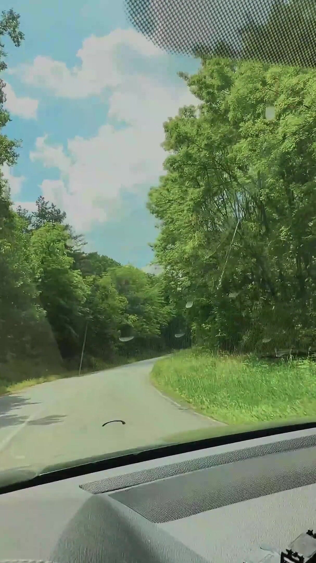 Sweet Cherry Adventure in My Car