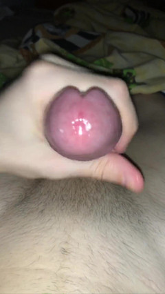 Gunter Meiner: Twink se dojí