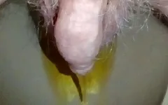 Video closeup john lagi kencing di porta potty