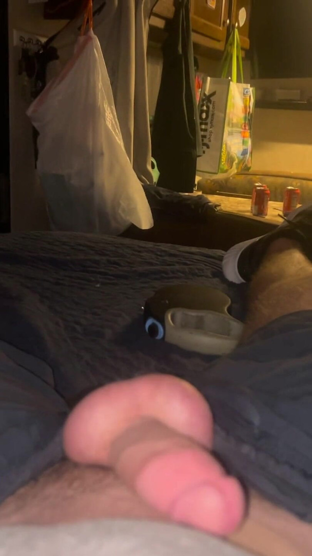 Amateur (T-rony)
