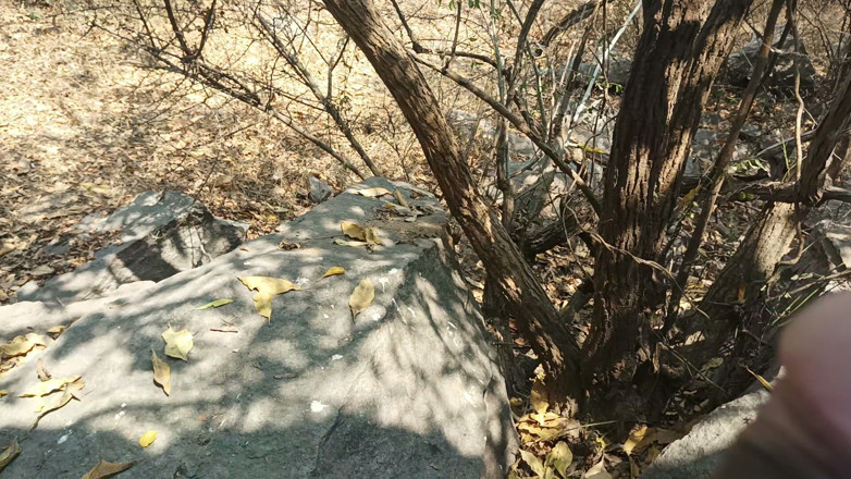 Suthavillagexxx: Tamil Boy Masturbating in the Forest