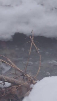 Nackt in der natur