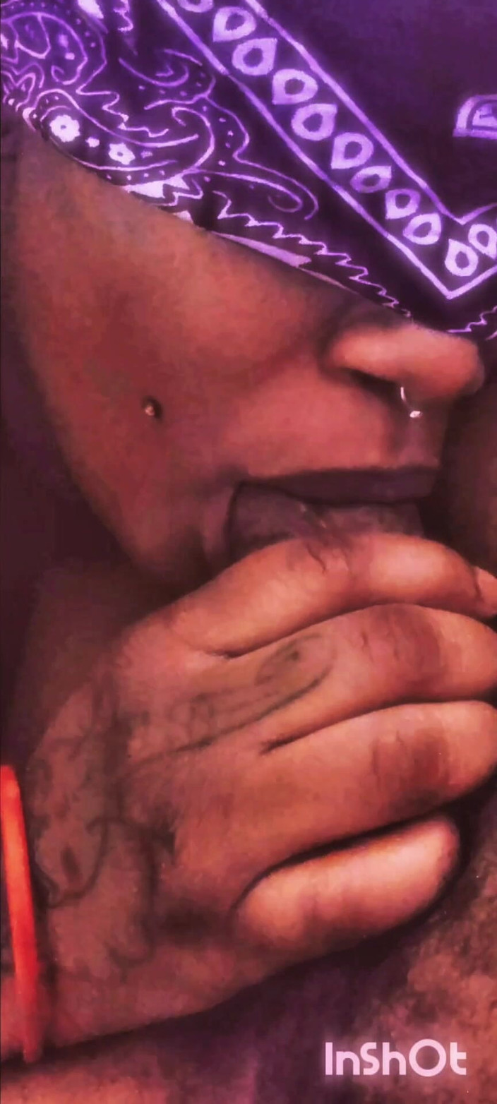 The Nasty House: Raksasa selamba!!