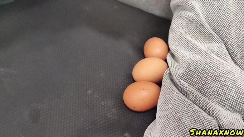 Shanaxnow: Transformarea corpului amuzantă a corpului în porumb dulce magic într-un pui