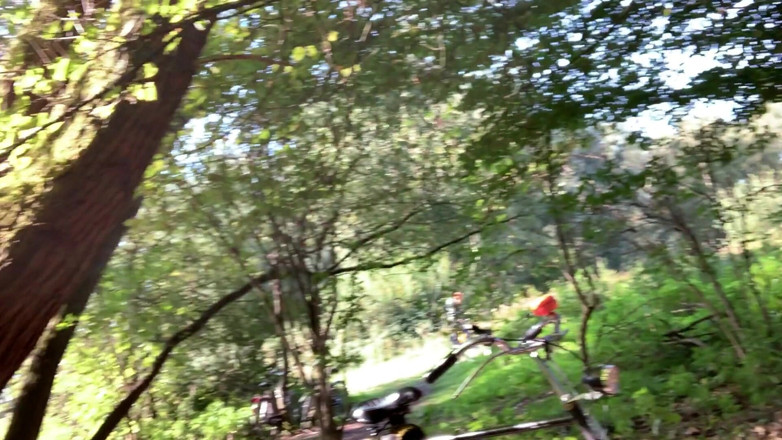 TJenner: Masturbazione al parco, esibizionista