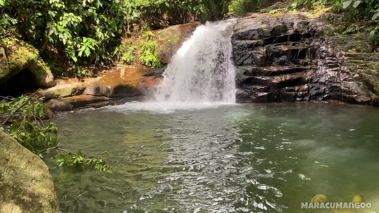 Maracumangoo: Ein Date an einem magischen und entfernten Ort mit einem...