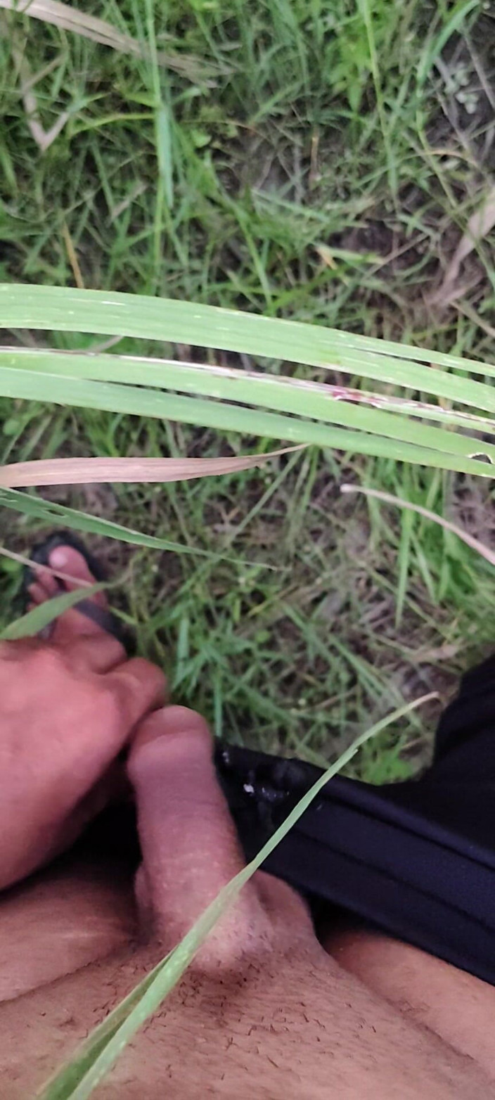 Desi x nexon: Masturbarsi nel campo di canna da zucchero