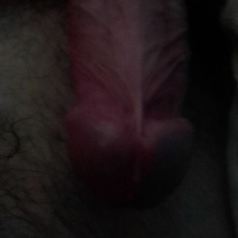 Faphouse